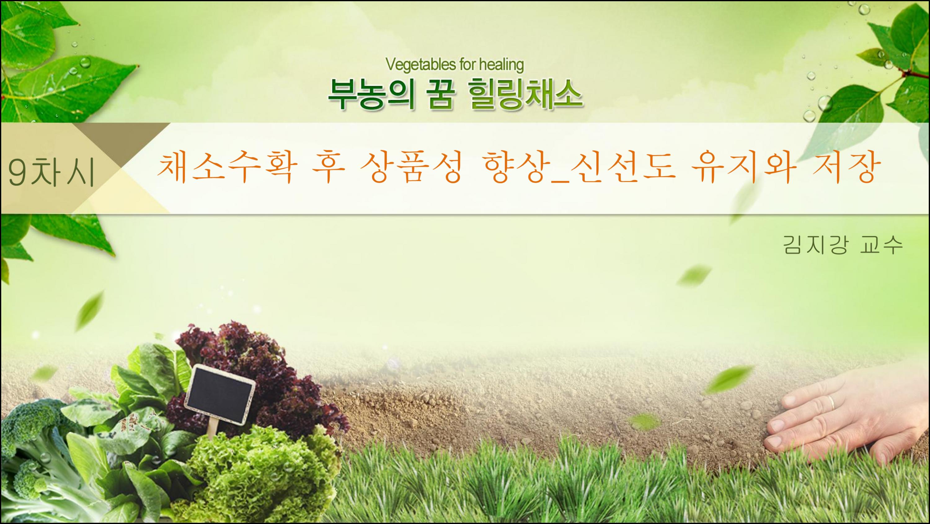 제9강 채소수확 후 상품성 향상 (1).png.jpg