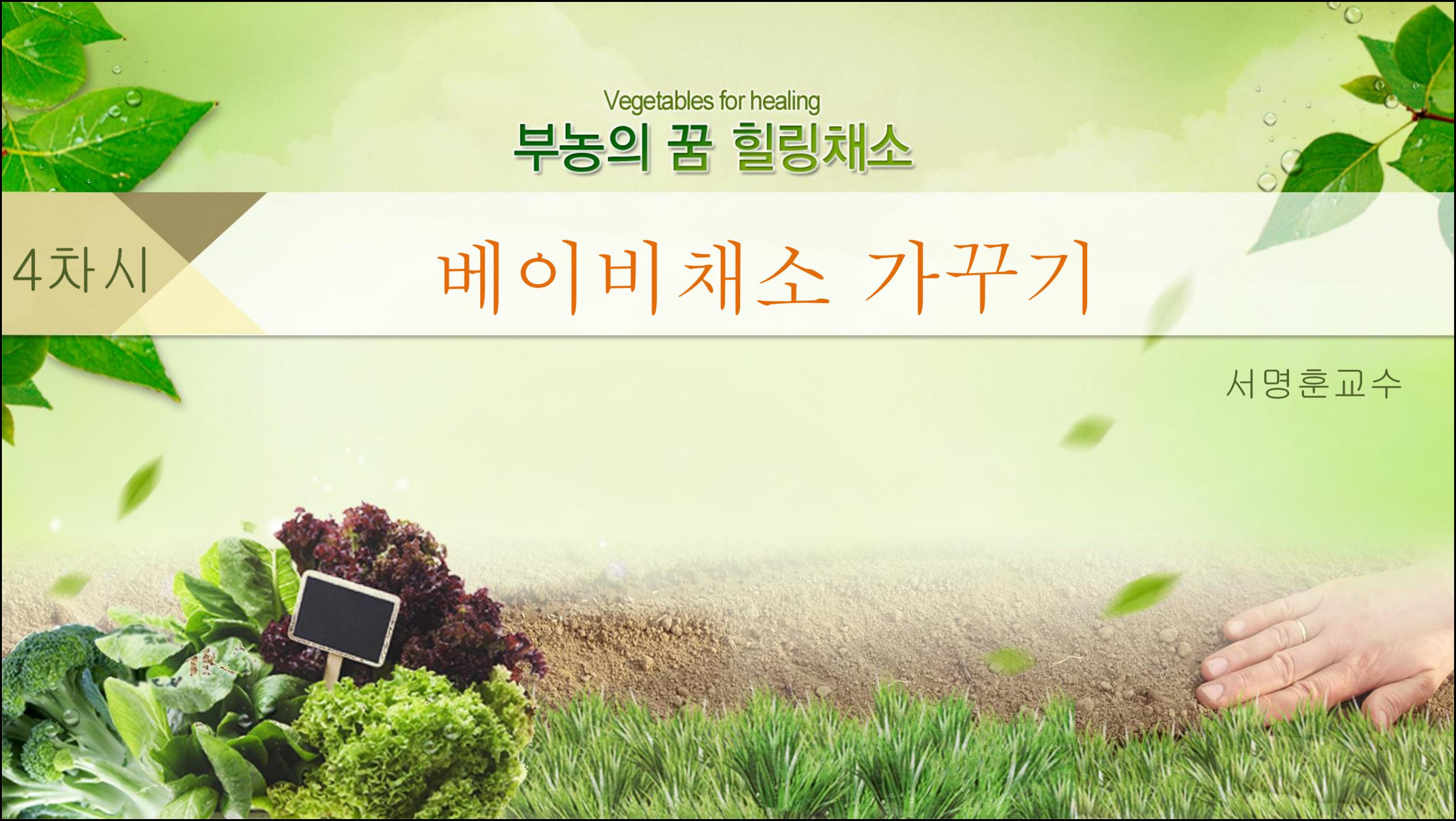 제4강 베이비 채소 가꾸기 (1).png.jpg