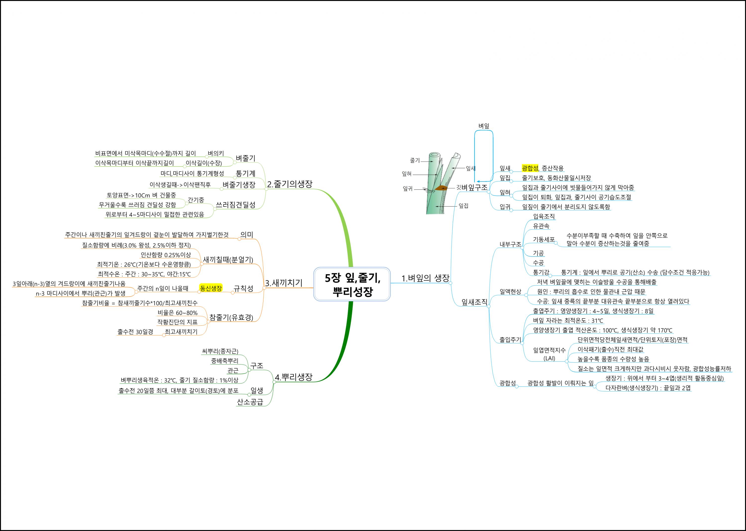 식용작물학I (5).png.jpg