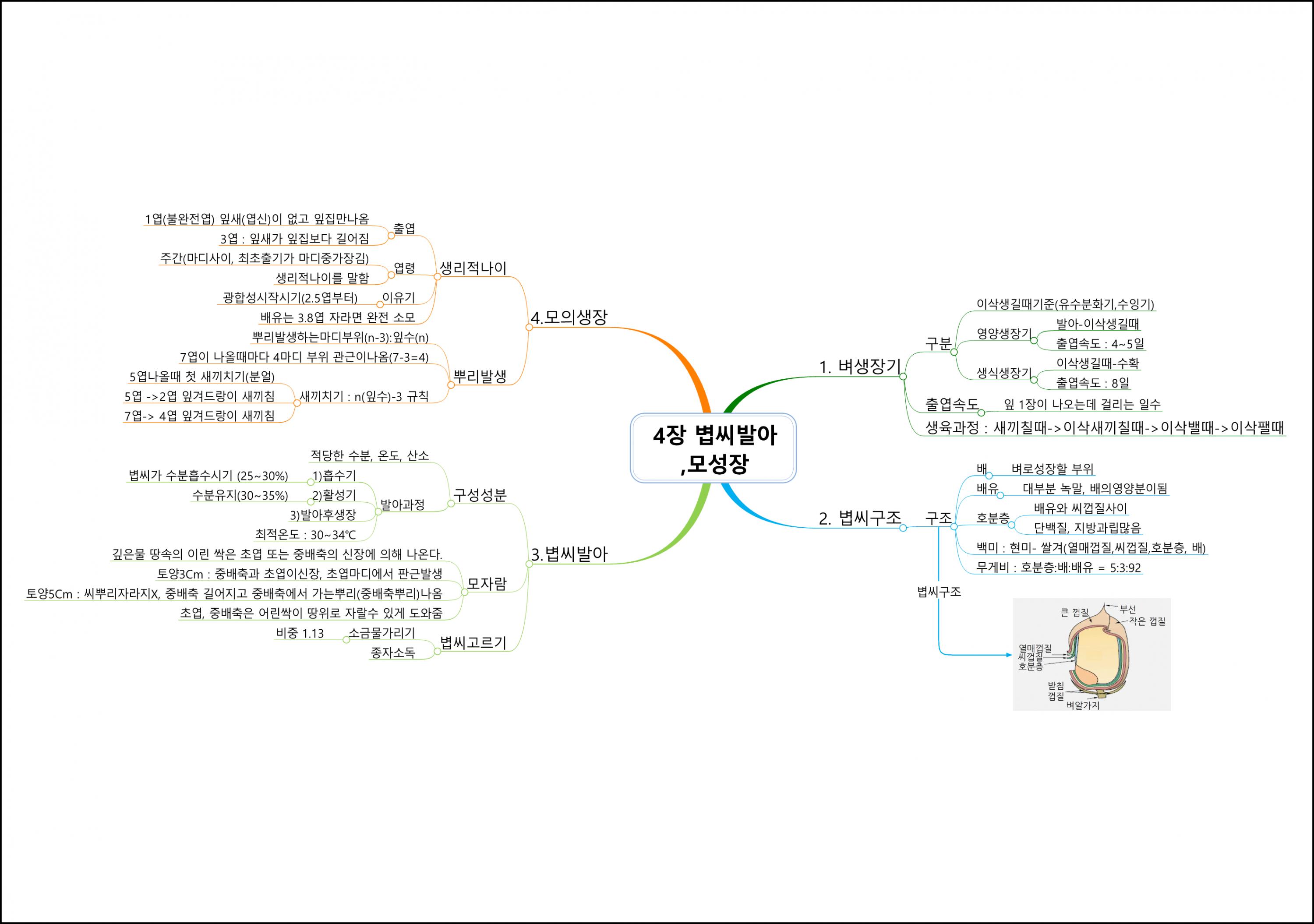식용작물학I (4).png.jpg