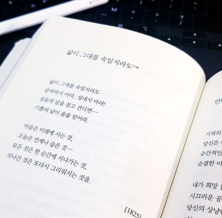 책내용.png.jpg
