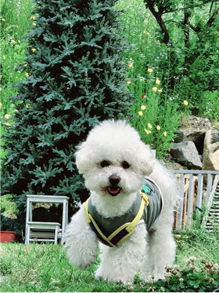 제목 없음.png.jpg